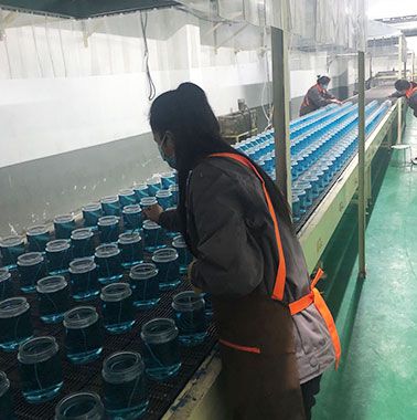 Glass Candle Factory