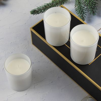 Simple Glass Scented Candle Set 120g