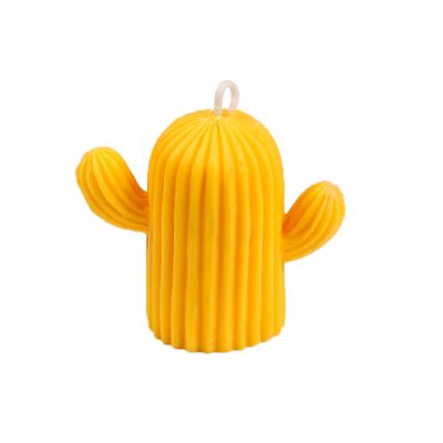 Cactus Art Scented Candle 60g