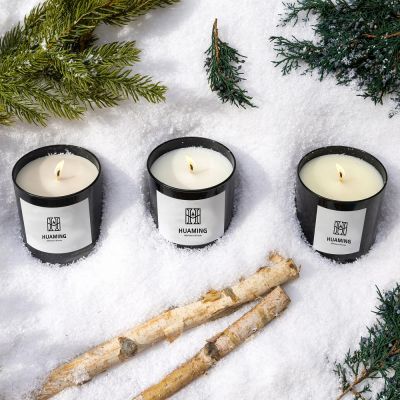 Winter Christmas Scented Candle 200g