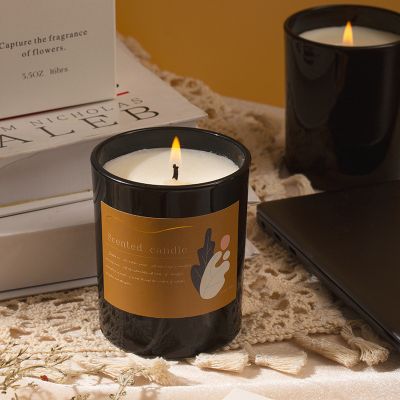 Niche Advanced Scented Candles 160g