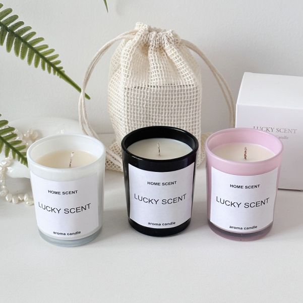 Ins Style Scented Candle 70g