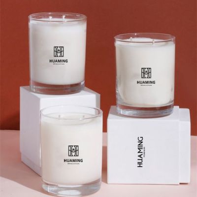 2 Wick Scented Candles 230g