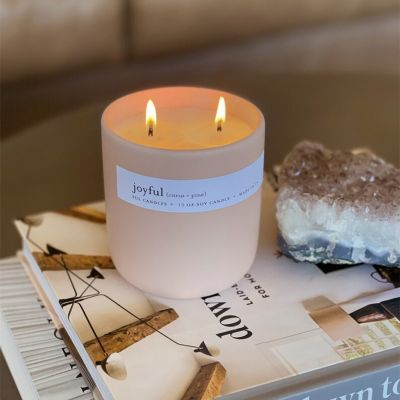 2 Wick Soy Wax Scented Candle 240g