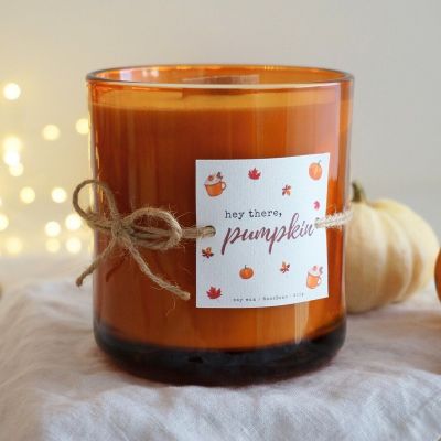 Autumn Pumpkin Scented Candle 300g