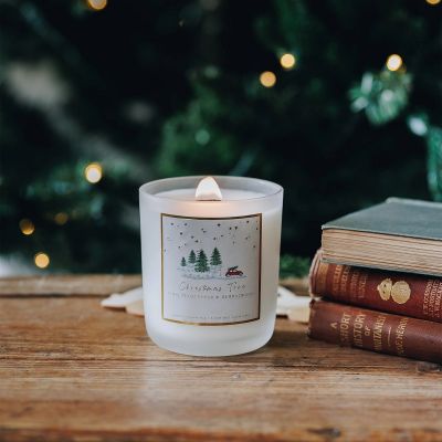 Christmas Frosted Candle Gift 220g