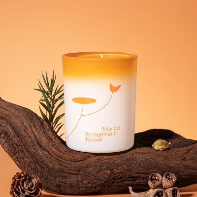Niche Premium Scented Candles 60g