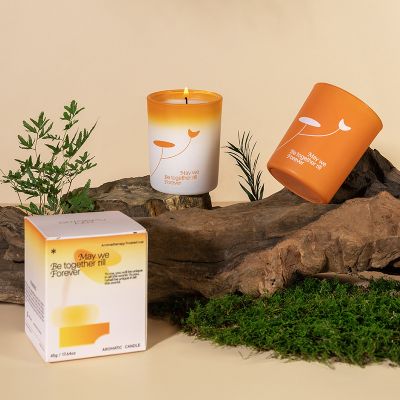 Niche Premium Scented Candles 60g