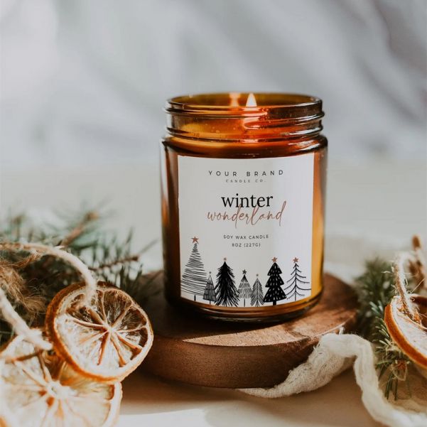 Winter Holiday Scented Candle 270g