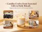 Consumer Behavior Shifts – Candles Evolve from Seasonal Gifts to Daily Rituals